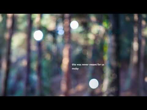 Moby - 'This Was Never Meant For Us' (Official Audio)