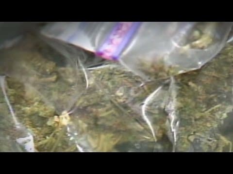 A Life Sentence for Seven Pounds of Marijuana
