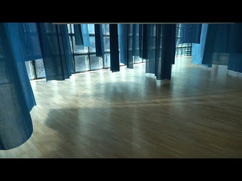 エルメス銀座シャルロット・デュマ展