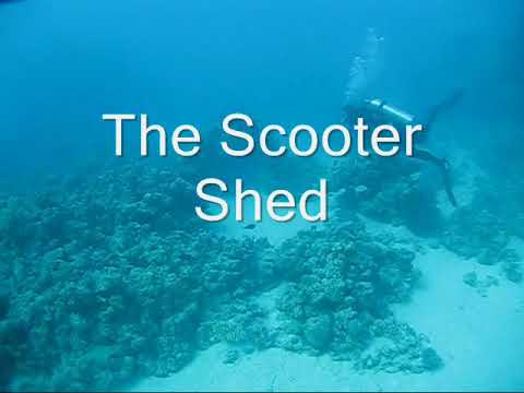 A dive on Conshelf Two, Sha'ab Rumi, Sudan  November 2011