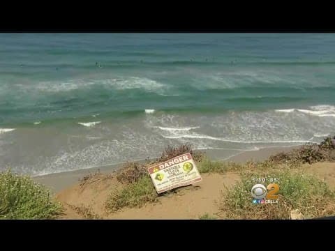 CBS LA: GO mania leads to dangerous consequences