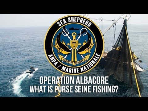 What is Purse Seine Fishing?