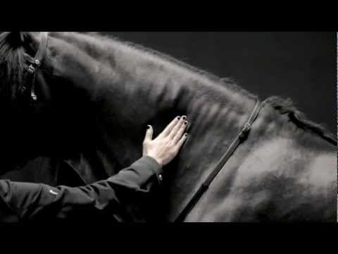 Hermès : Black rider / Le cavalier noir [commercial 2011]