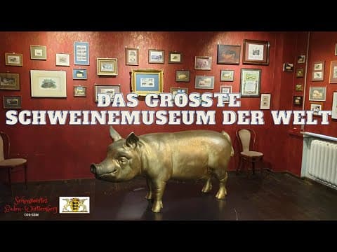 "Pigs bring luck!" (Sehenswertes BW)