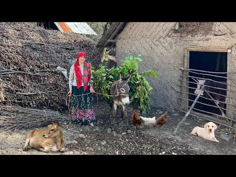 Daily Village Life! Feeding Cows with Leafs and Cooking Buttermilk Soup (2 of 2)