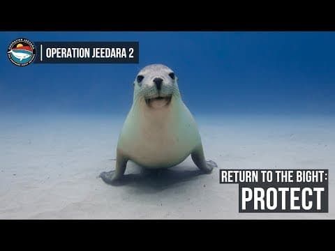 Return to the Bight: Protect