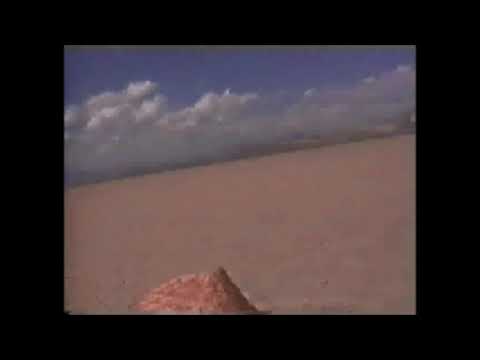 Tracing the Cable at Burning Man 1995.  Finding the Mermen