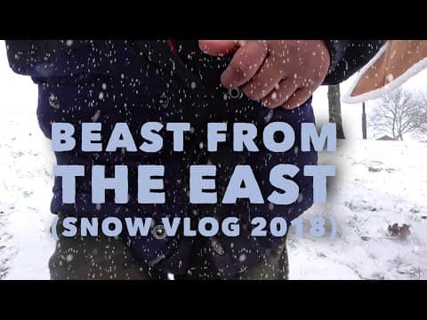 The 'Beast from the East'