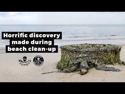Horrific discovery made during beach clean-up