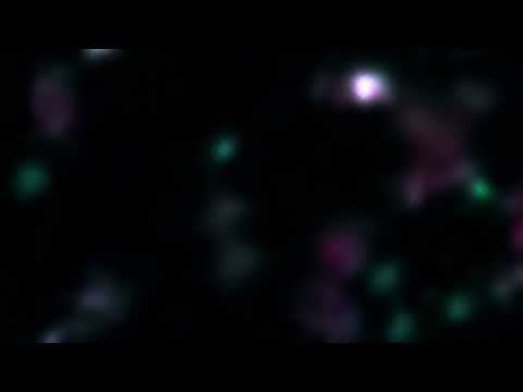 Bert Dockx Band - Planets