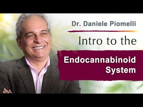 Daniele Piomelli: an introduction to the endocannabinoid system