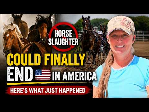 Horse Slaughter Could FINALLY End in America... Here's What Just Happened