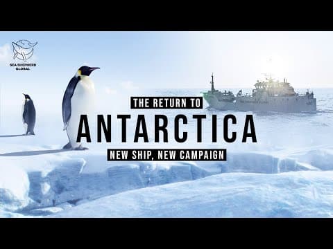 Our Return to Antarctica: New Ship, New Campaign