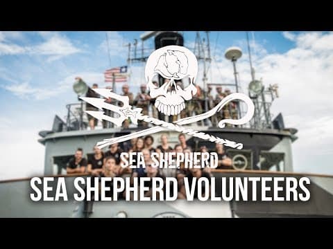 Part-Time Heroes Excerpt - Sea Shepherd Volunteers