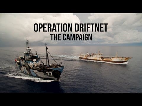 Operation Driftnet: Wrap Up