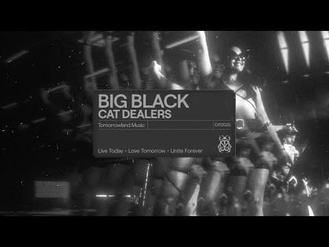 Cat Dealers, FAIOLLI - Big Black (feat. David LeSal) (Official Audio)