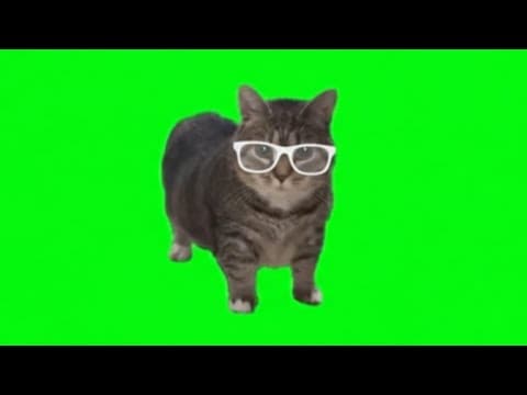 OIIA OIIA (Spinning Cat) REMIX | RAP DJ BOCIL