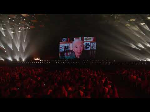 Jane Goodall: A video message of hope