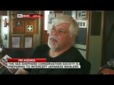 Sea Shepherd readies for 'battle'