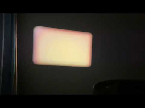 Joanne Robertson & Oliver Coates — Always Were