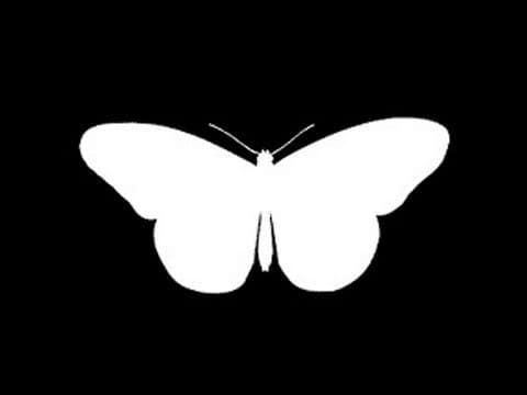 Chaos and Butterfly Effect - Sixty Symbols