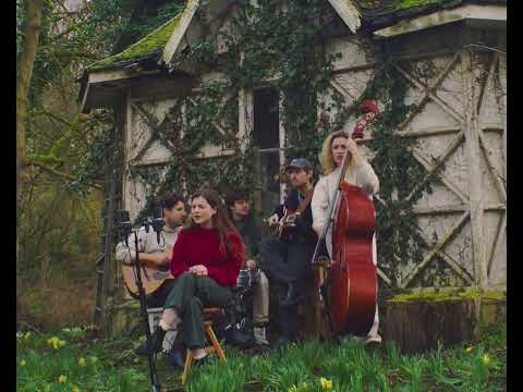 Ivy Falls - Lemons (Live)