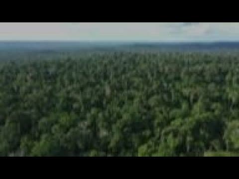 INPE and the deforestation alarm