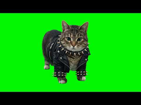 OIIA OIIA CAT - Metal version