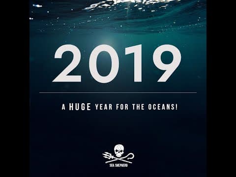 2019: A HUGE year for the Oceans!