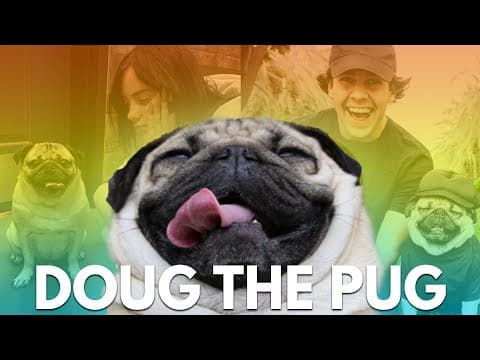 How Our Dog Got 18 Million Followers