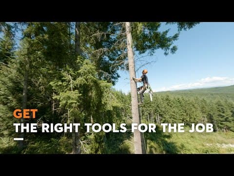 The Best Office View | Get the Right STIHL Tool for the Job