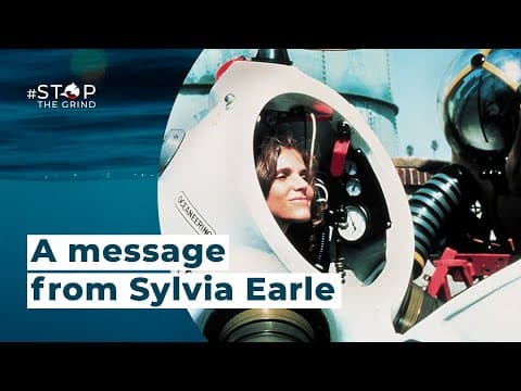 A Message from Sylvia Earle for World Dolphin Day - September 12th, 2022
