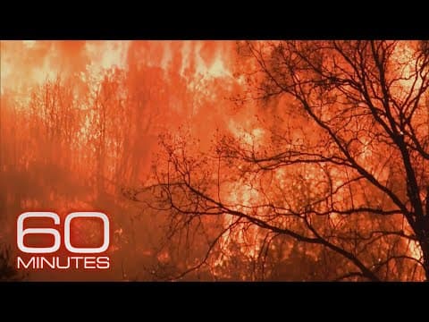The 2018 Camp Fire