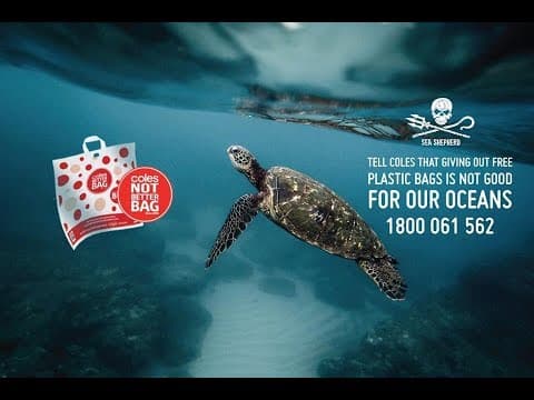 Sea Shepherd Marine Debris: Coles 'Not' Better Bag Retrieved from Our Ocean