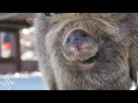 They Smile For Selfies, But They Need Our Help