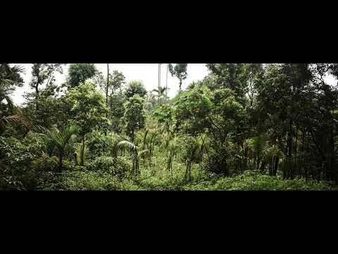 Andy C & MC Skibadee - One Nation - 1996