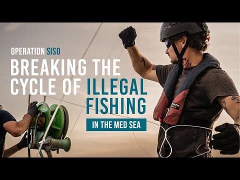 SISO 7 Launches to Battle Illegal Fishing in the Med!