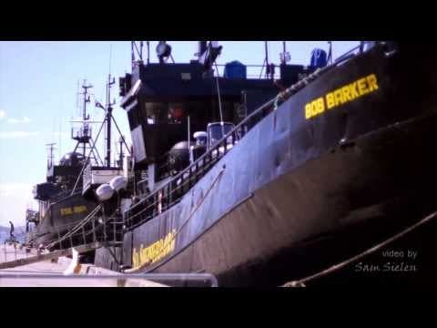 The Steve Irwin joins the Bob Barker in Hobart