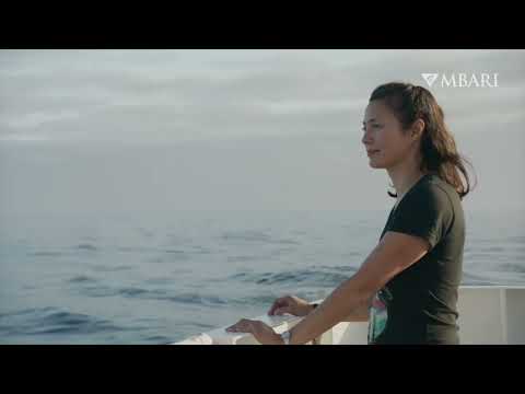 Meet MBARI: Finding inspiration for new technology in deep-sea animals
