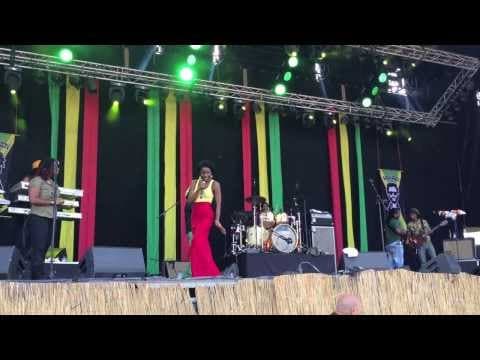 Reggae Geel 2013 (compilation)