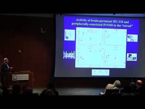 Igor Spigelman on non-psychoactive cannabinoids for chronic pain