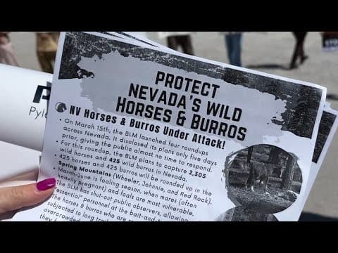 Rally near Red Rock opposes BLM wild horse, burro roundup plans