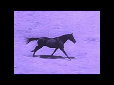 Echo Beatty - All In Vain