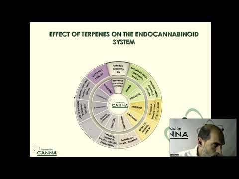 Classifying cannabis plants by terpene profile