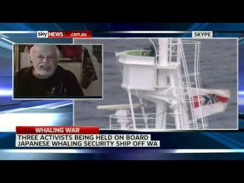 Whaling activists may be bound by Japanese law