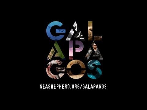 Sea Shepherd: Galapagos