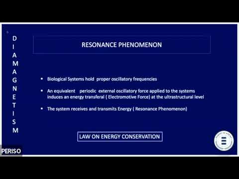 ICDT - Diamagnetotherapy, the new frontier of the Biophysical Stimulation - Pietro Romeo
