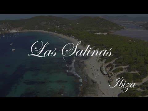 Las Salinas - Ibiza, videoexplained