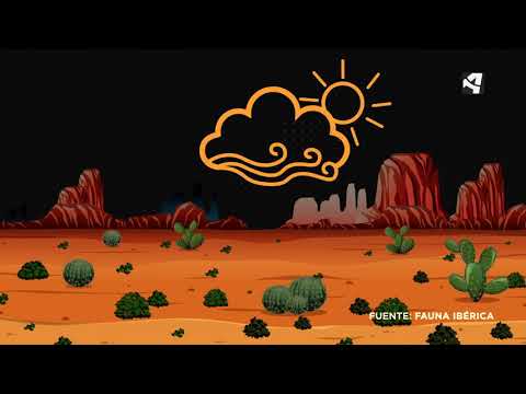 Aragón es Ohio - El desierto de Monegros