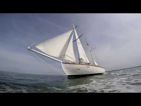Sir Robin Knox-Johnston: A Force of Nature (TV)